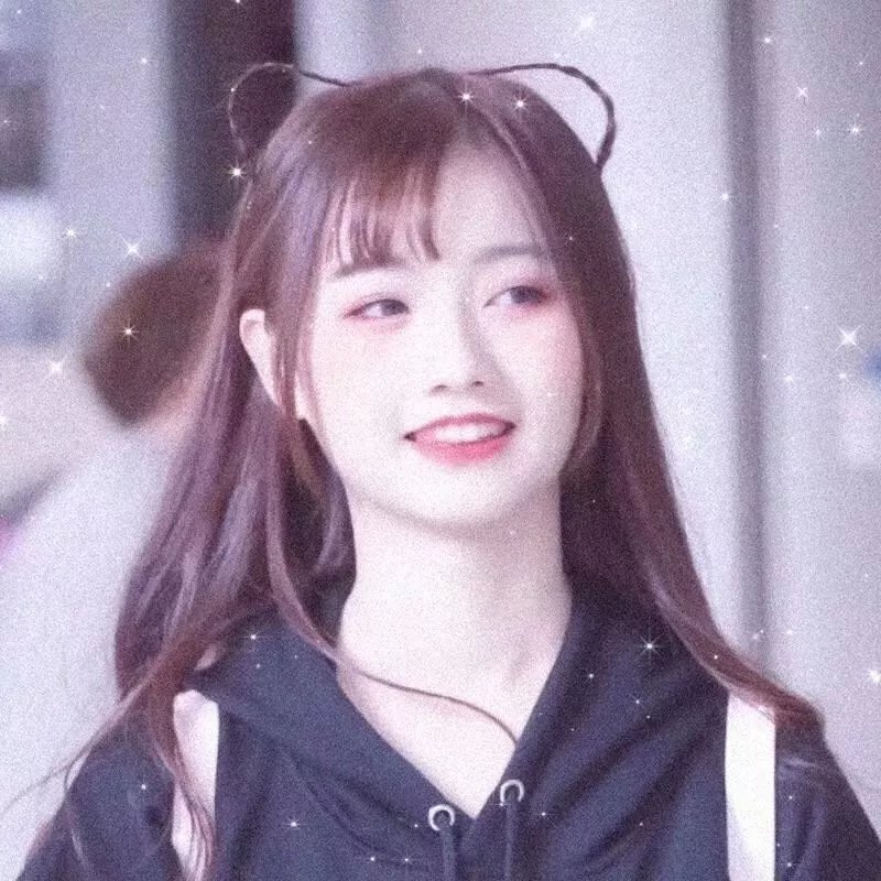 玫瑰计划