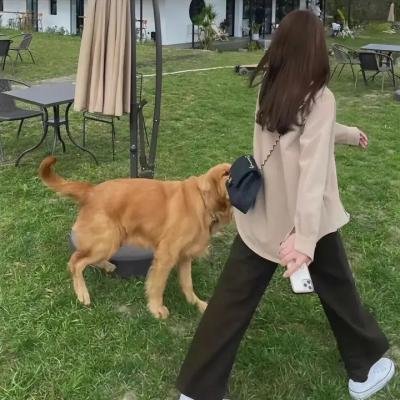复仇之谜